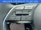 2024 Hyundai Palisade SEL 7P